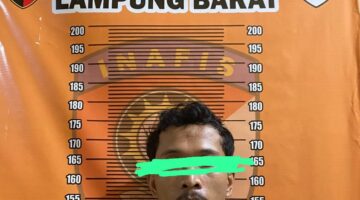 Spesialis Pencuri Kabel PLN Dibekuk Tekab 308 Polres Lampung Barat, Akui Beraksi di Lebih dari Lima TKP
